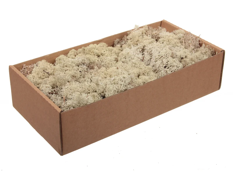 Islandmoos vorbereitet 0,5kg Natur