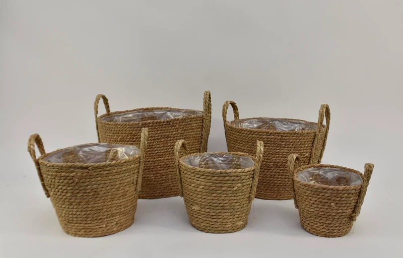 Palm Ring Single 1kg Weißwäsche