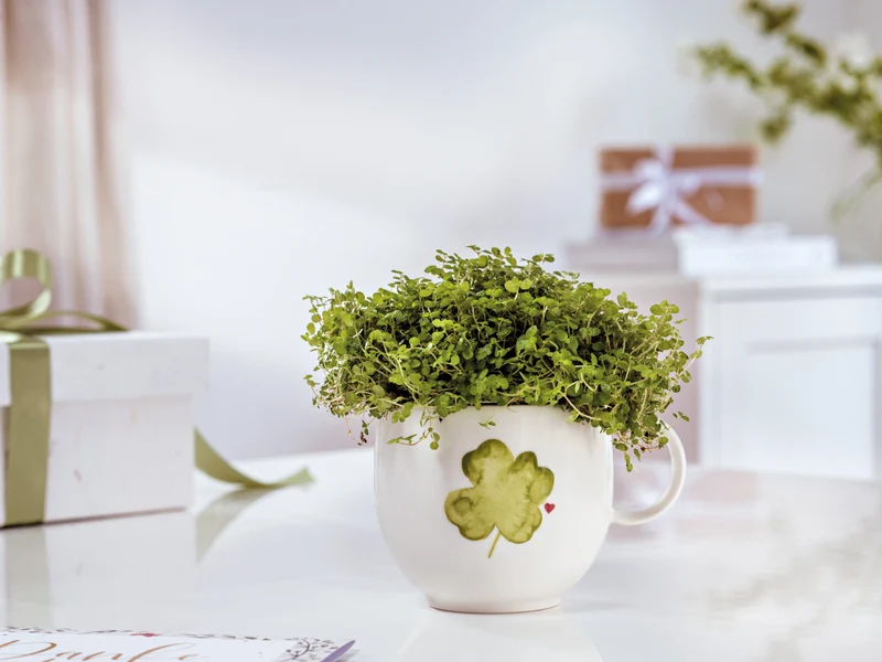 Villeroy & Boch With Love Henkelbecher Good Luck 0,29l