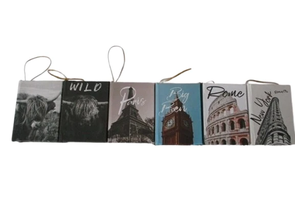 Bücherhänger 9,5x7cm Büffel/Stadt-Mix