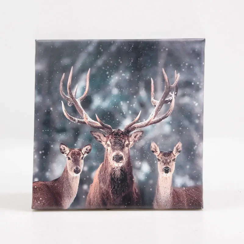 AUSSENBILD HIRSCH 25X25 CM