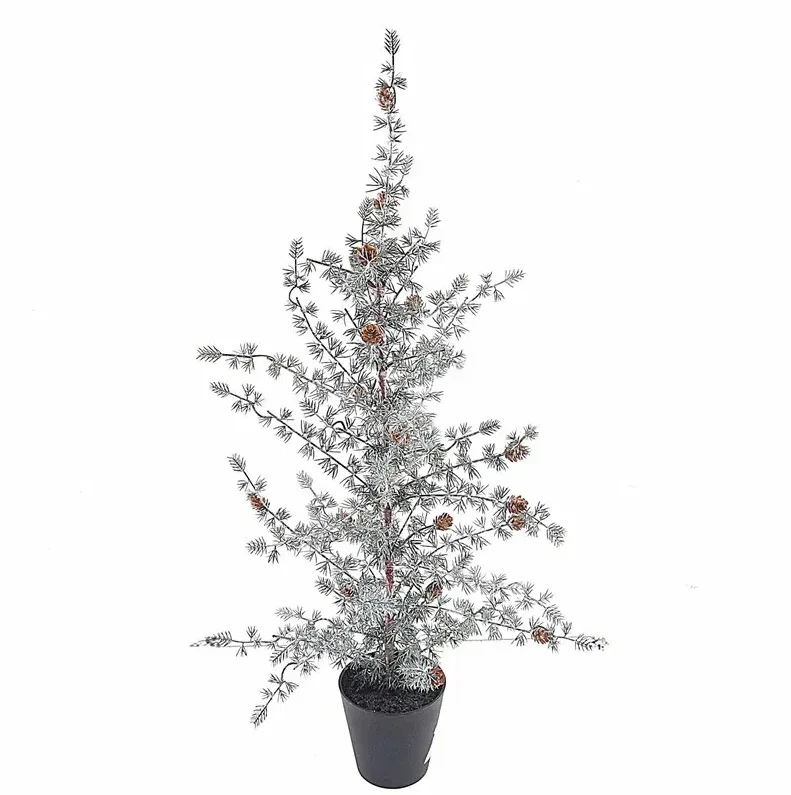 Ming-Kiefer im Topf Grün/Weiß 180cm