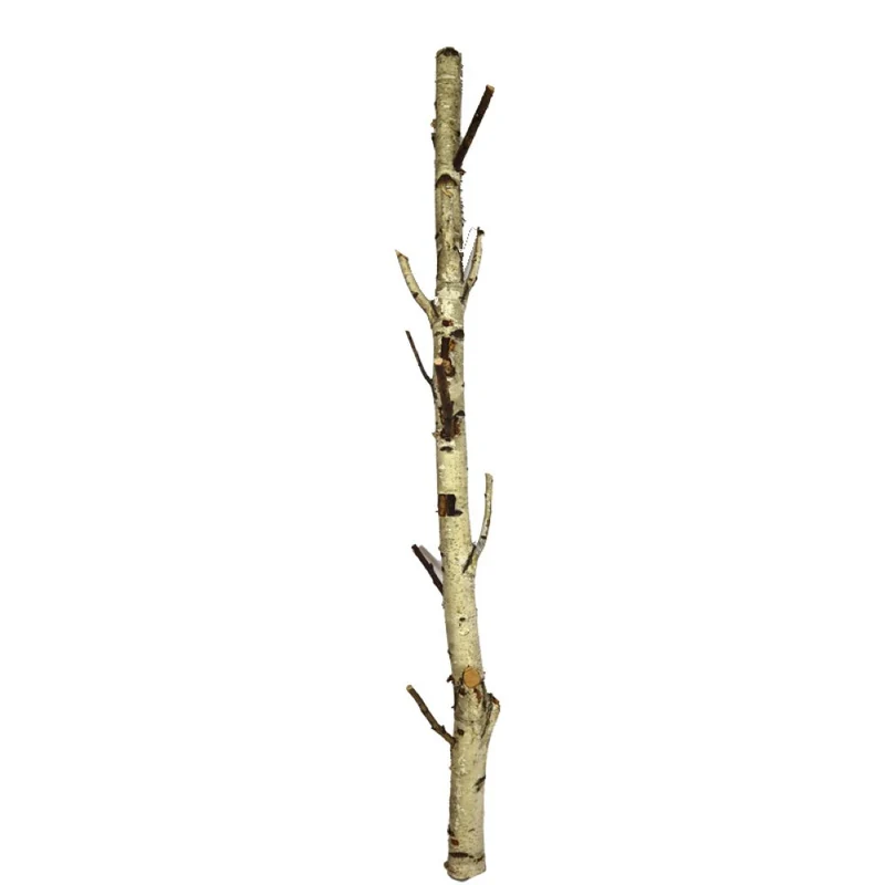 Ast-Birke Ø8x200cm Natur