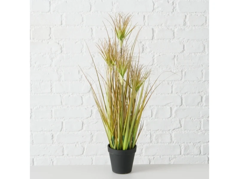 Boltze Topfplanze Zwiebelgras 98 cm