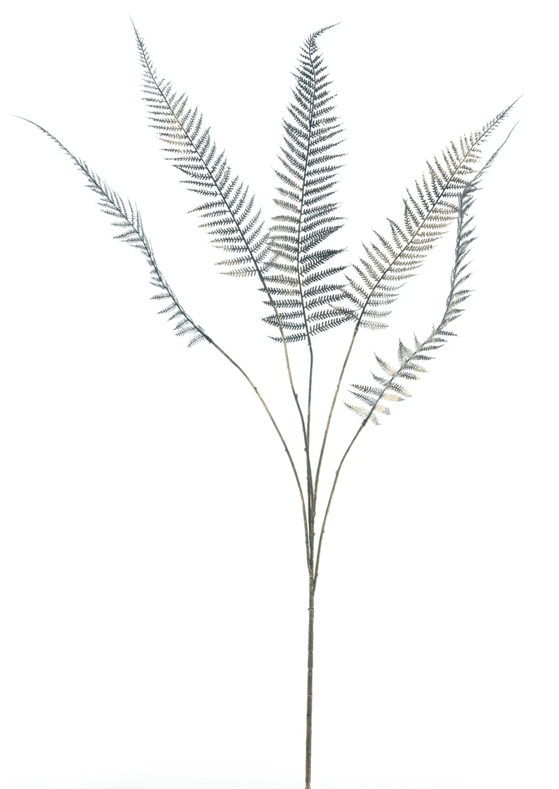 Schwertfarn-Spray Kula schwarz 119cm