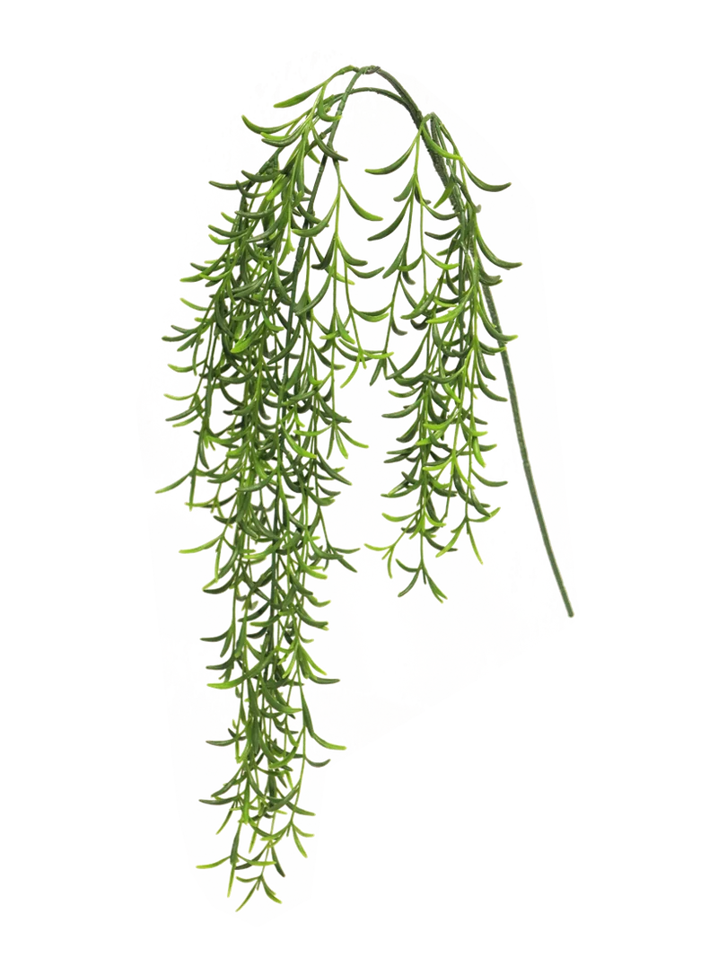 Hoya Hängepflanze grün 105cm