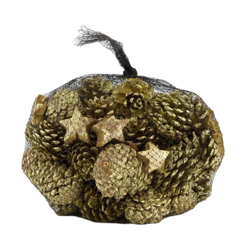 Pinienzapfen mit 10 Kokossternchen Natur 1kg Gold