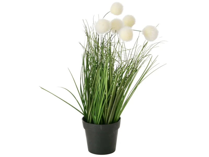 Boltze Topfpflanze Gras mehrfarbig sort. 46cm (1 Stück)