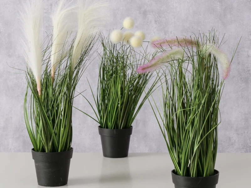 Boltze Topfpflanze Gras mehrfarbig sort. 46cm (1 Stück)