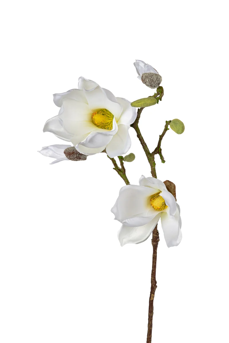 Magnolie 73cm weiß