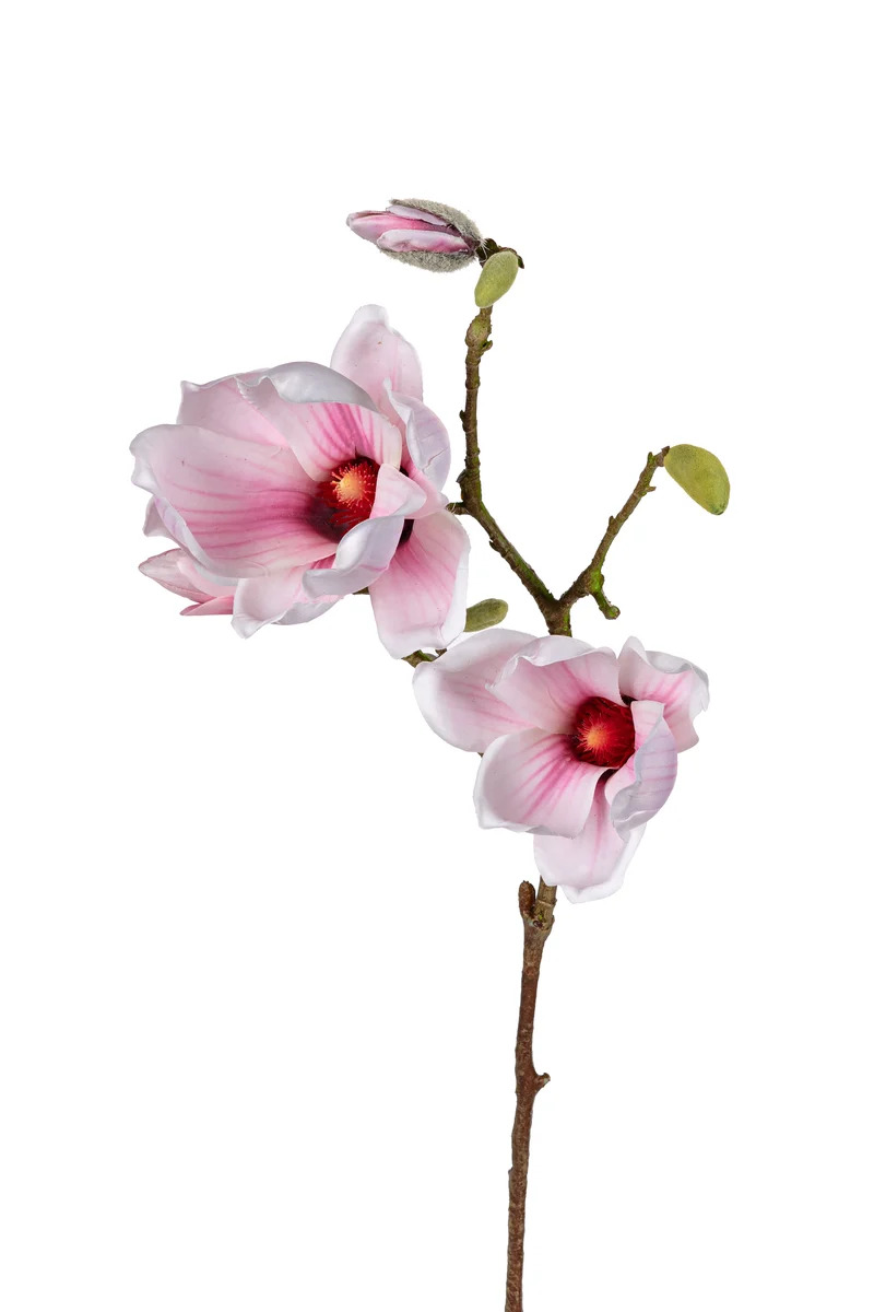 Magnolie 73cm rosa