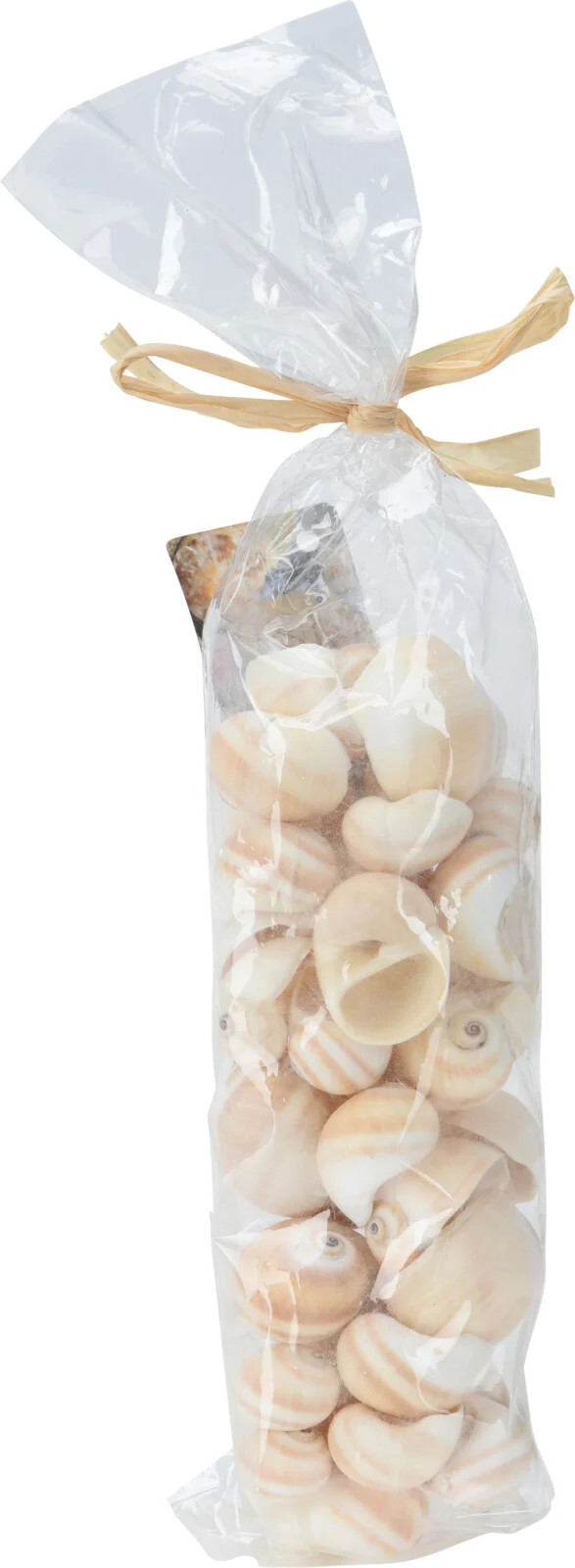 MUSCHELDEKO IM BEUTEL, 6ER-SET, SORTIERT, 35X9X6CM