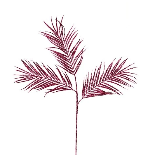 Farnblattfuchsie - 80 cm