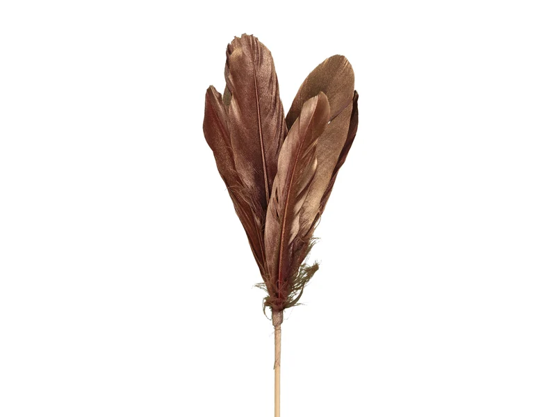 pb. 12 Gänsefedern/Stock weinrot 58cm