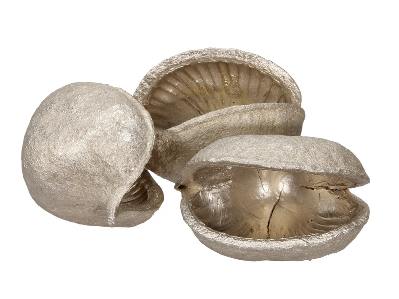 pb. Casurina natürlich 500 gr