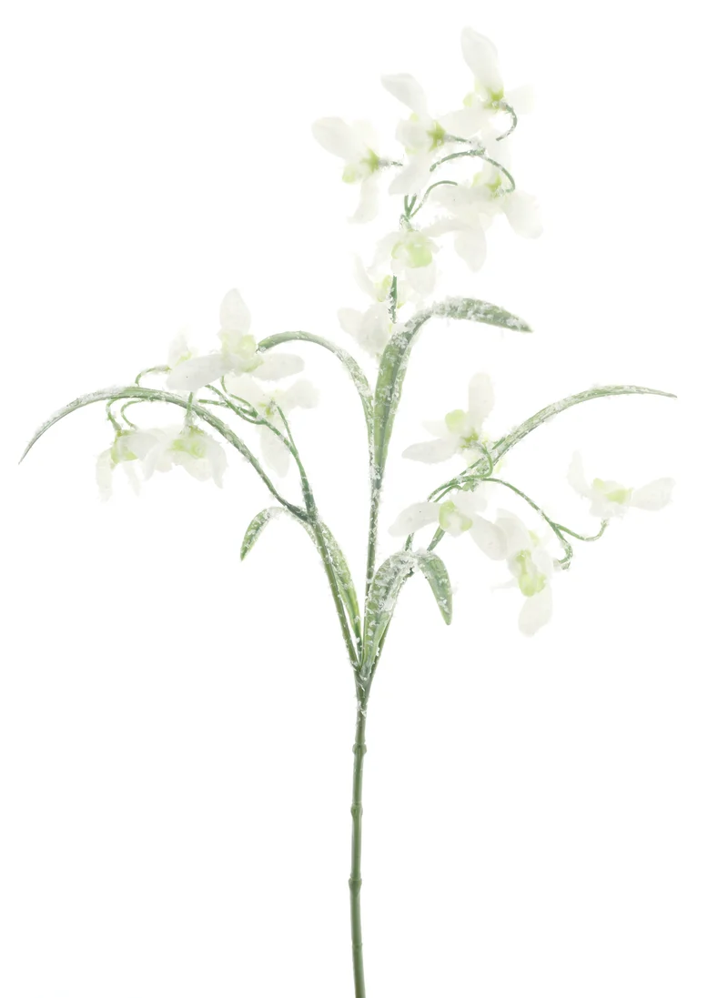 Schneeglöckchen-Spray-Eiscreme 49cm