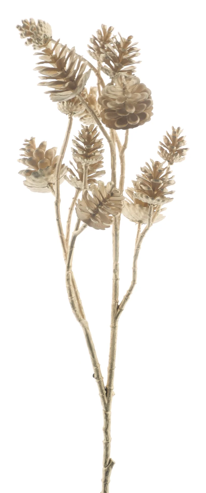 Kegelsprühgerät Gold 73cm