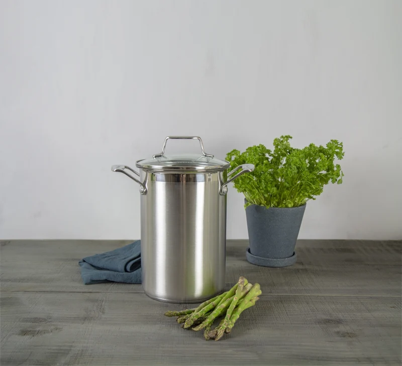 SCANPAN IMPACT Spargel-/Maistopf mit Deckel 4,5 l
