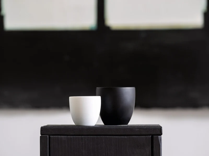Rosenthal the cup+ Delicate Black Espresso doppelwandig 0,08l