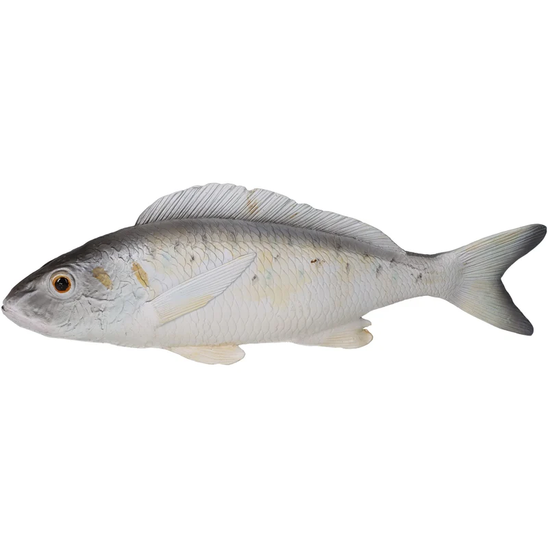Zierfisch Grau 8x3x28cm