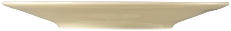 Seltmann Weiden Beat Sandbeige uni Kombi-Untertasse gross 16,5 cm