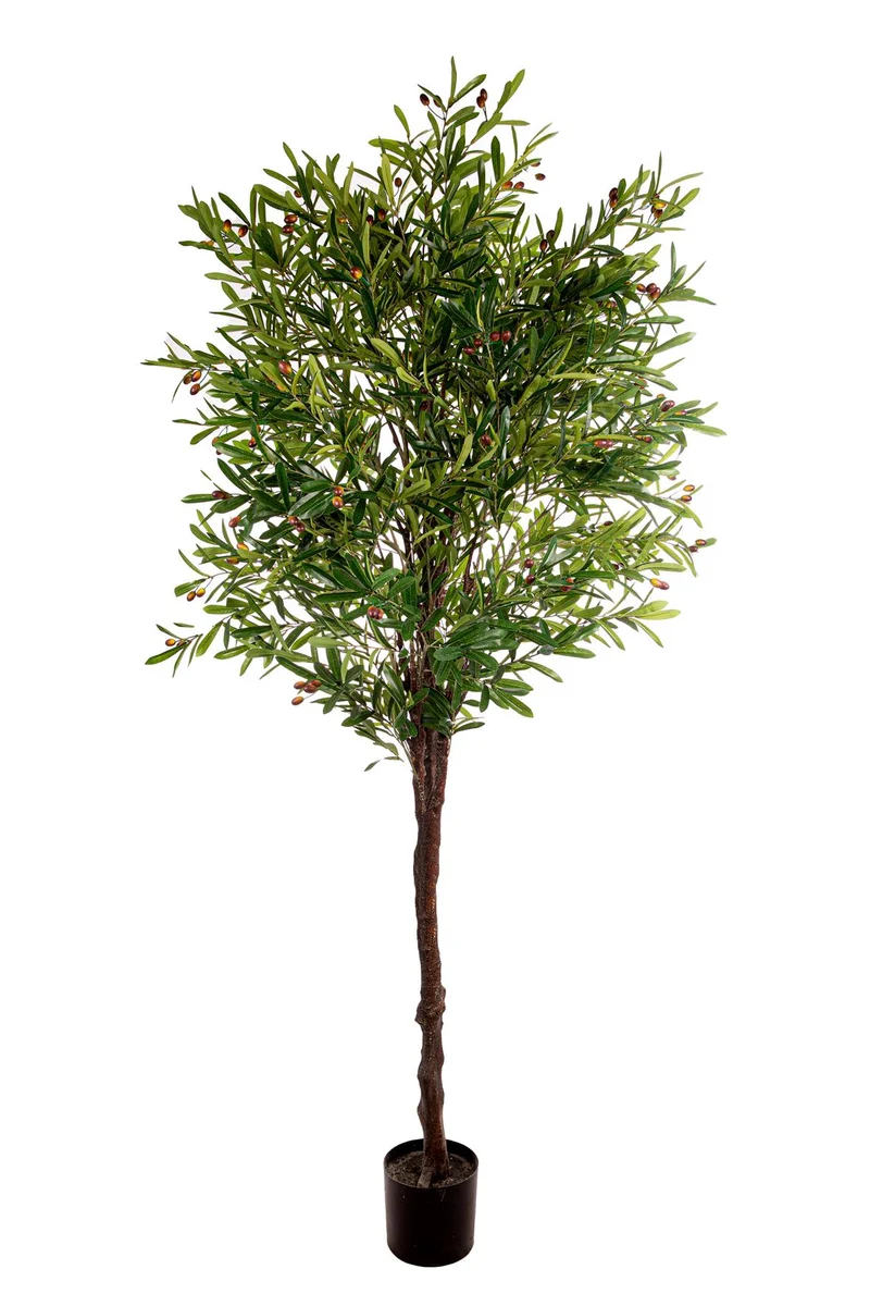 FICUS BENJAMIN SPRAY x 42LVS H56 CM GREEN