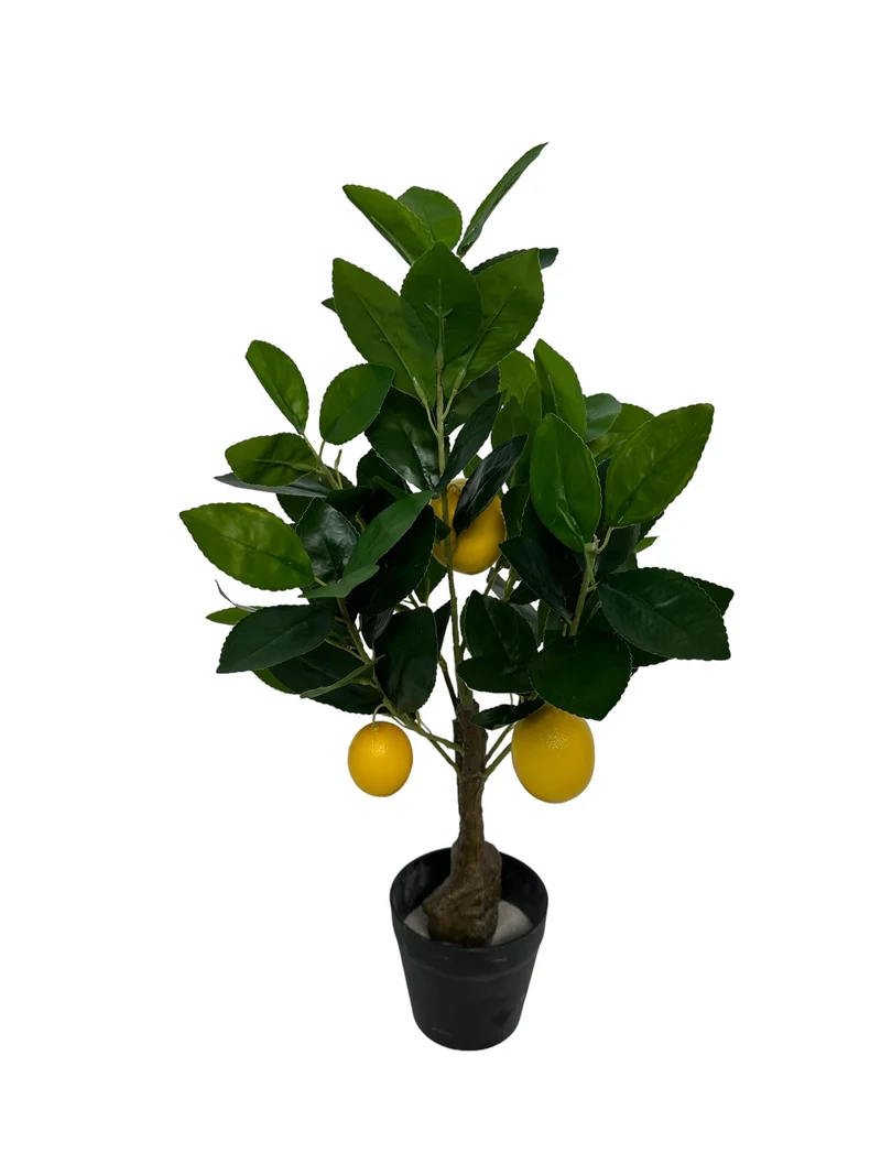 Zitronenbaum-Bonsai 50 cm gelb