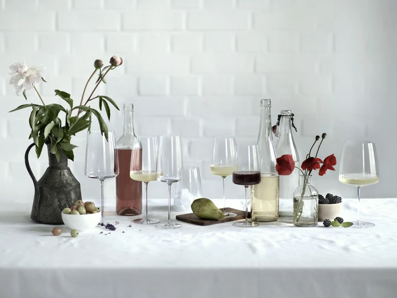 ZWIESEL GLAS Simplify Weinglas fruchtig & fein Set 2tlg