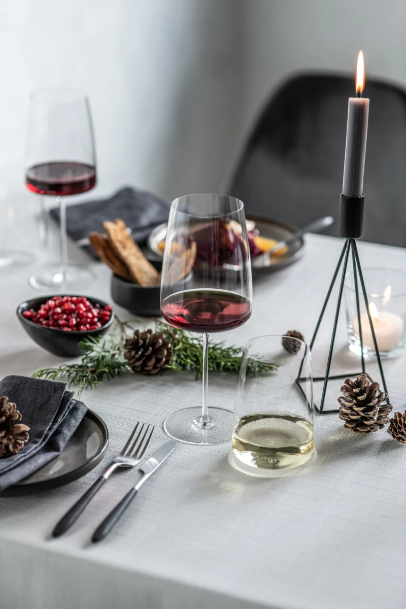 ZWIESEL GLAS Simplify Weinglas kraftvoll & würzig Set 2tlg