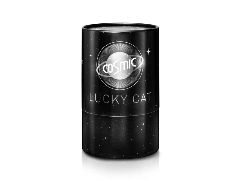 Donkey Products Lucky Cat Cosmic Winkekatze shiny silver 15cm