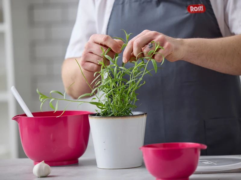 Rosti Margrethe Schüssel beetrot 3l