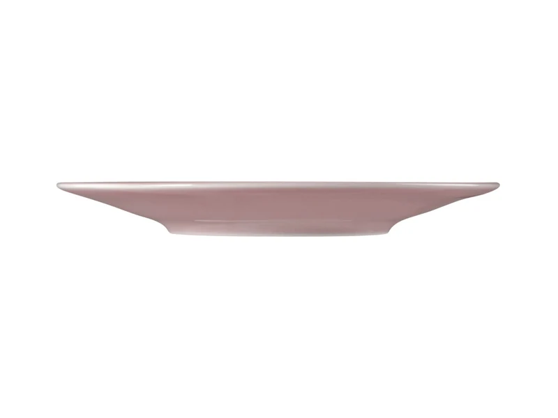 Seltmann Weiden Beat Altrosa uni Kombi-Untertasse groß 16,5cm