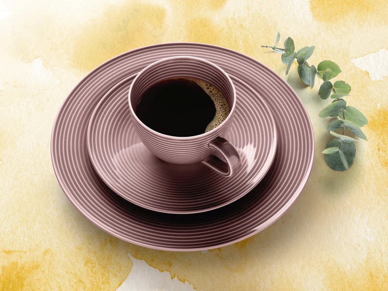 Seltmann Weiden Beat Altrosa uni Kombi-Untertasse groß 16,5cm
