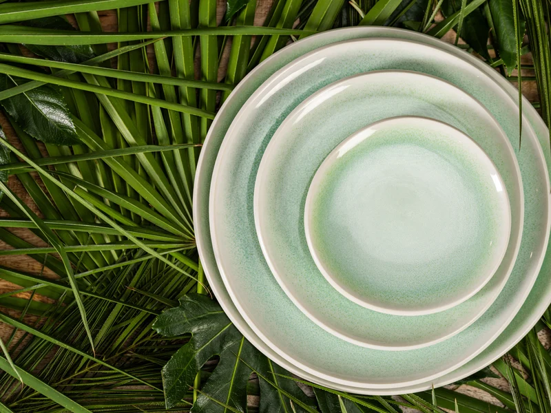 Rosenthal Junto Jungle Teller flach 30 cm