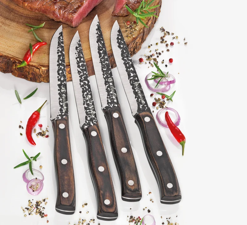 Zassenhaus HUNTER Steakmesser 25 cm Set4