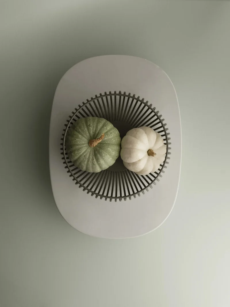 Blomus LITO Schale agave green M 25cm