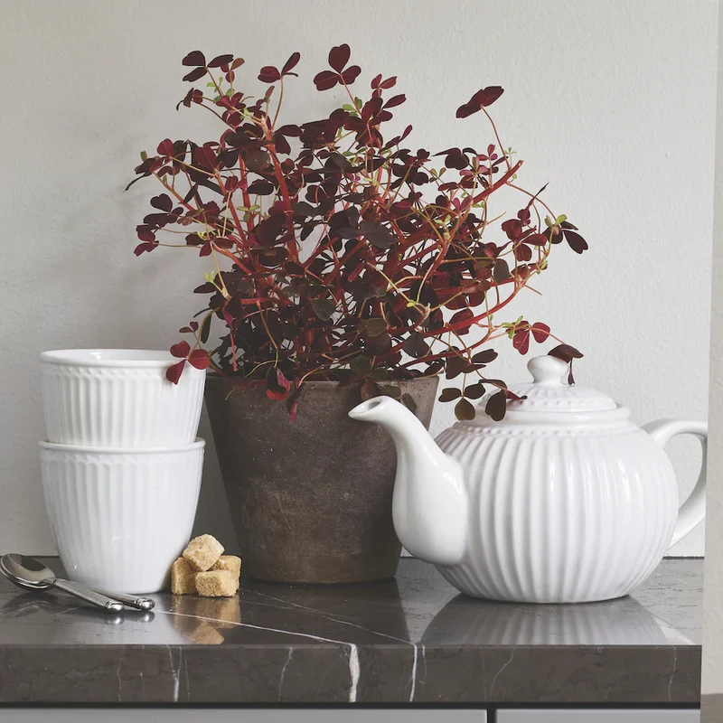 Greengate Alice Eierbecher white 6,5cm Set6
