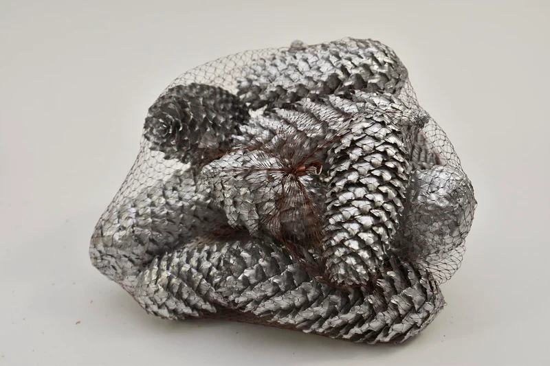 FISCHTEN CONES 12 STÜCK/NETZ SILBER