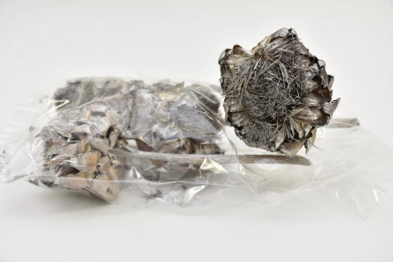 ARTICHOKE