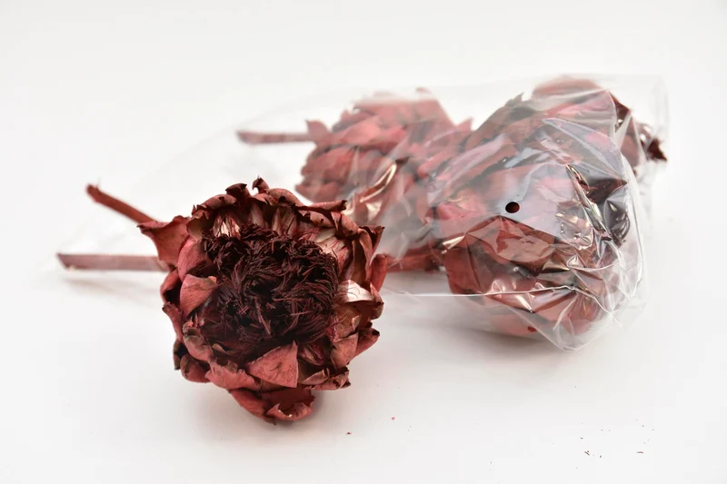 ARTICHOKE