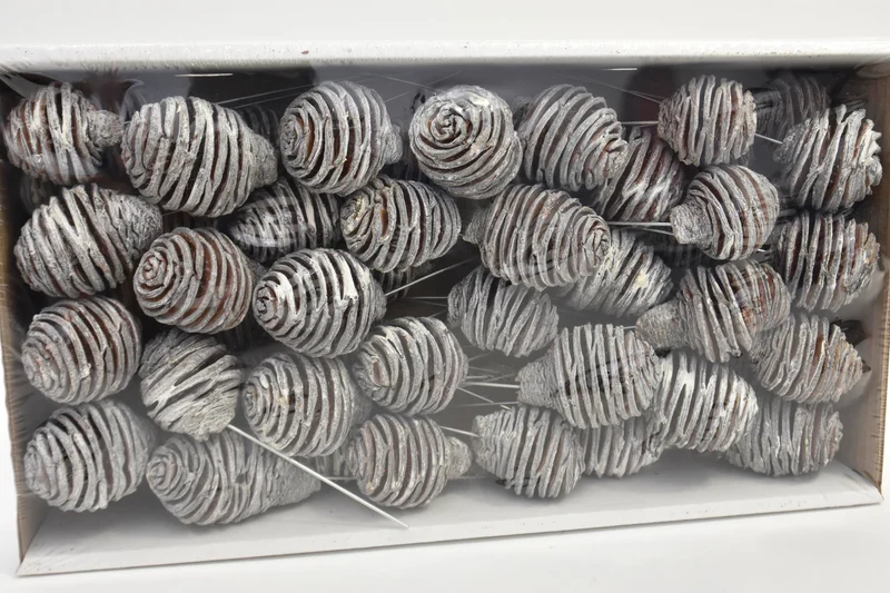 Platyspernum 10cm Probenehmer weiß-wash 55Stück