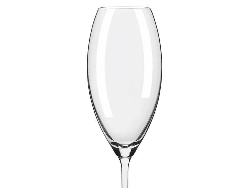 RITZENHOFF Glanzlicht Weinglas / Champagnerglas 12er Set H24
