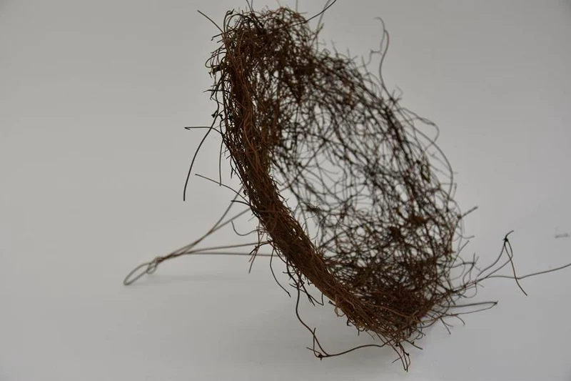 Salim Blumenstraußhalter ''Trichter'' 25cm Natur