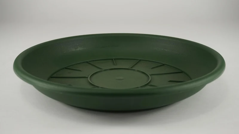 10 Schüsseln Domus 20 cm grün