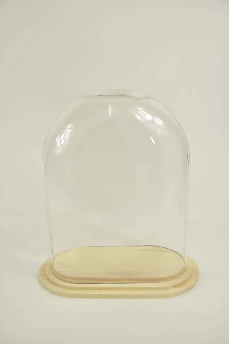 Pokal oval L Klarglas 24x12.5x30cm Holzschale klar
