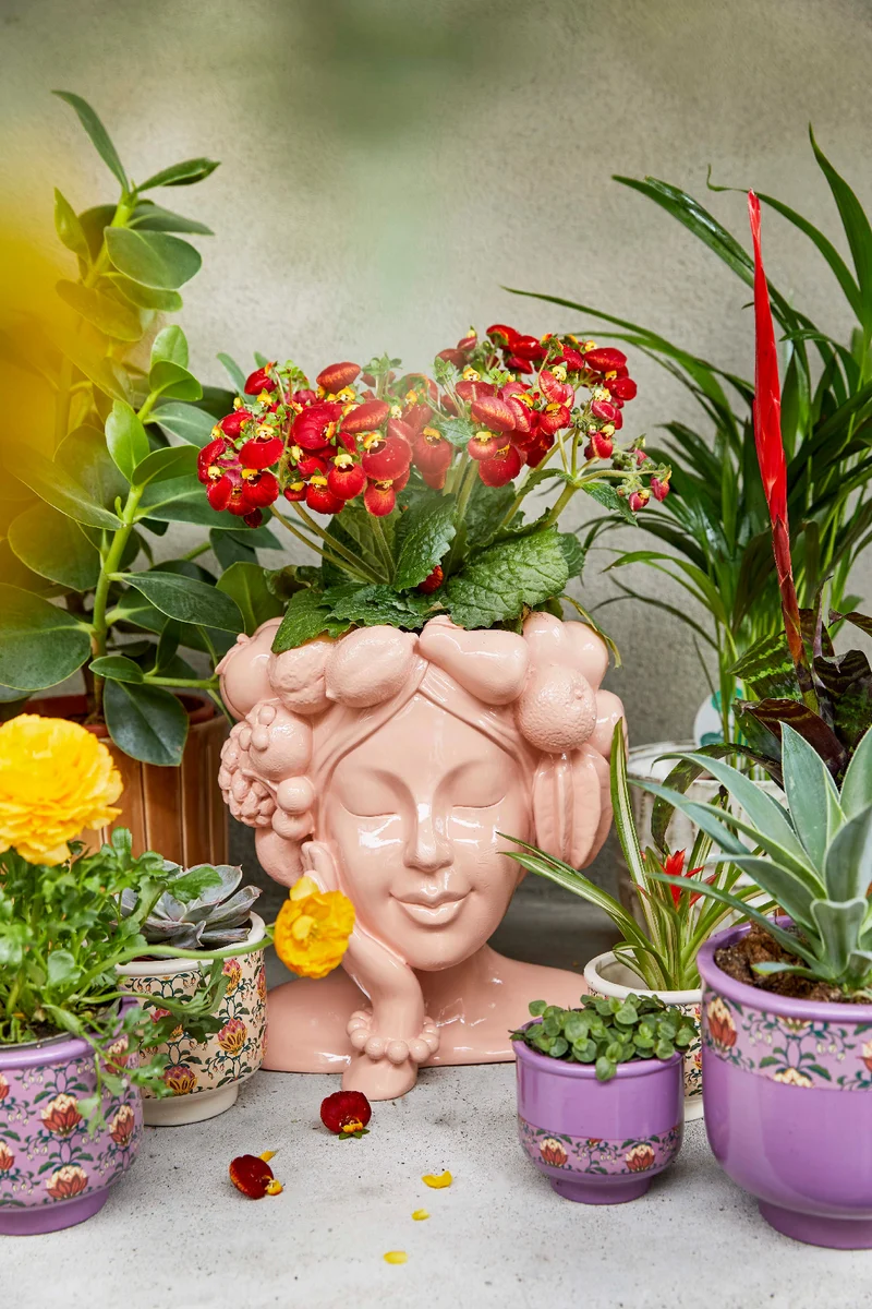 Pflanzgefäß polyresin rosa rosa 24.8x27x29cm