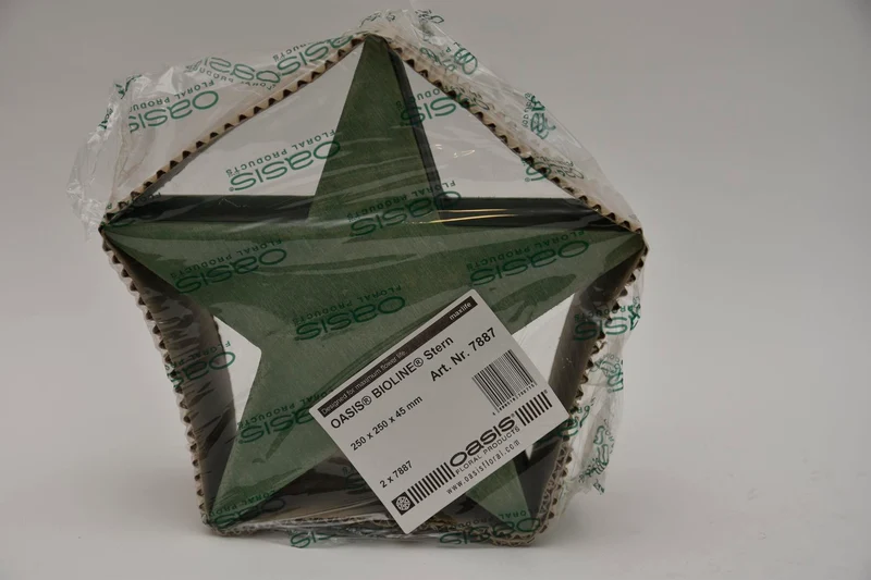 Bioline Stern 25 cm grün Packung mit 2 Stücken