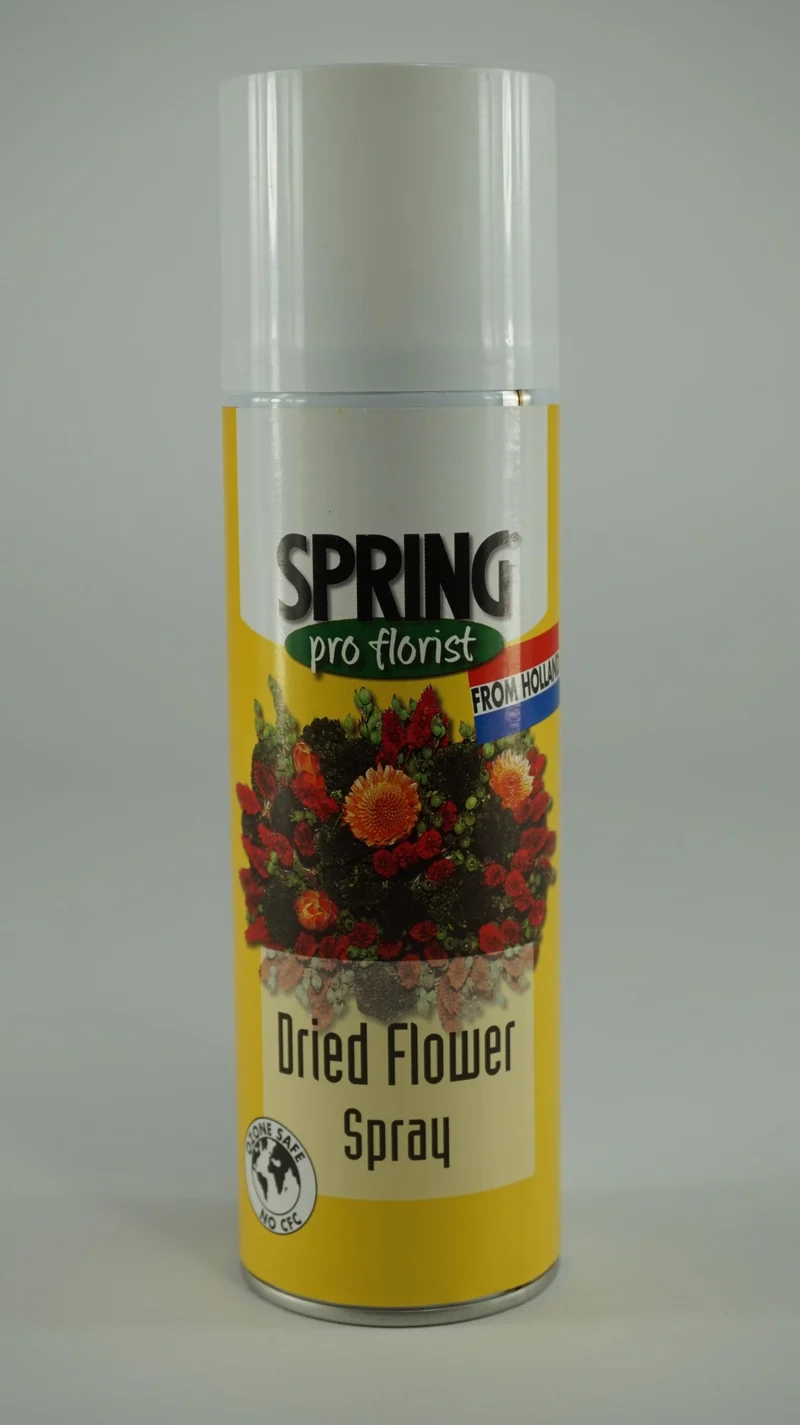 Frühling Trockenblumenspray 300 ml
