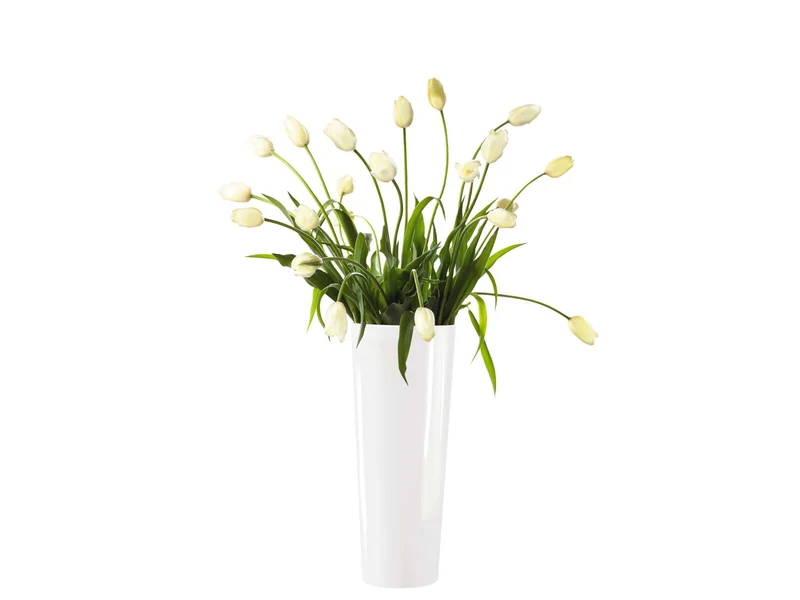 ASA Vase mono weiß 60 cm
